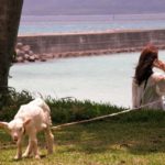 電子マネー利用&クレカチャージでマイル・ポイントの2重取り