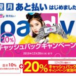 最大30%還元を実現する ビックカメラ.com。カギを握る「Paidy」支払いとは?